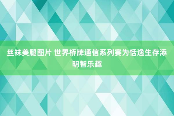 丝袜美腿图片 世界桥牌通信系列赛为恬逸生存添明智乐趣