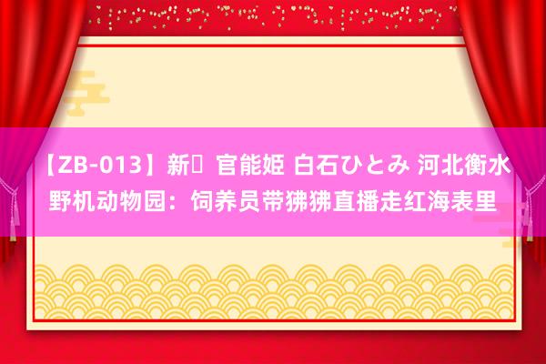 【ZB-013】新・官能姫 白石ひとみ 河北衡水野机动物园：饲养员带狒狒直播走红海表里