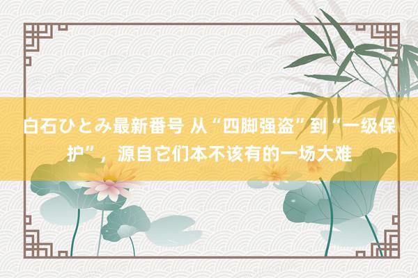 白石ひとみ最新番号 从“四脚强盗”到“一级保护”，源自它们本不该有的一场大难