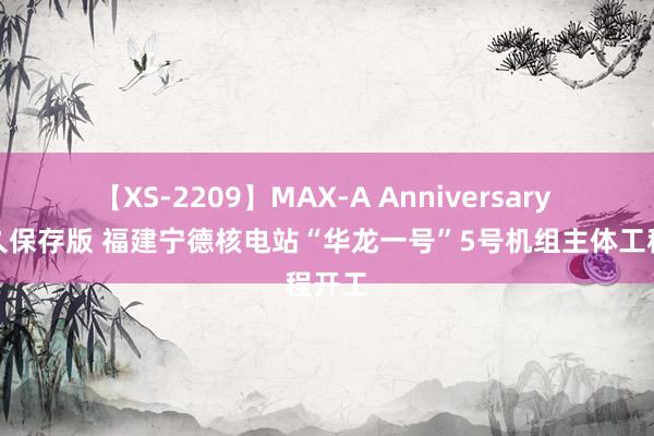 【XS-2209】MAX-A Anniversary 超永久保存版 福建宁德核电站“华龙一号”5号机组主体工程开工