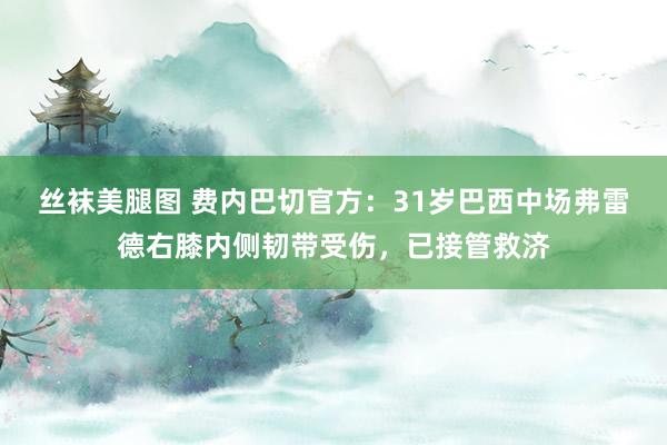 丝袜美腿图 费内巴切官方：31岁巴西中场弗雷德右膝内侧韧带受伤，已接管救济