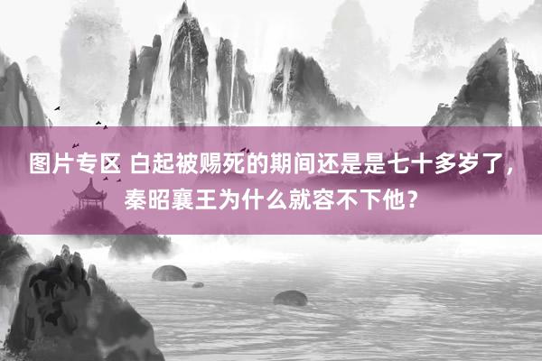 图片专区 白起被赐死的期间还是是七十多岁了，秦昭襄王为什么就容不下他？