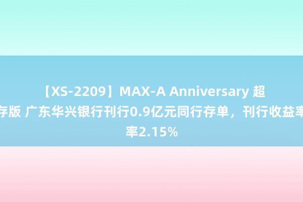 【XS-2209】MAX-A Anniversary 超永久保存版 广东华兴银行刊行0.9亿元同行存单，刊行收益率2.15%