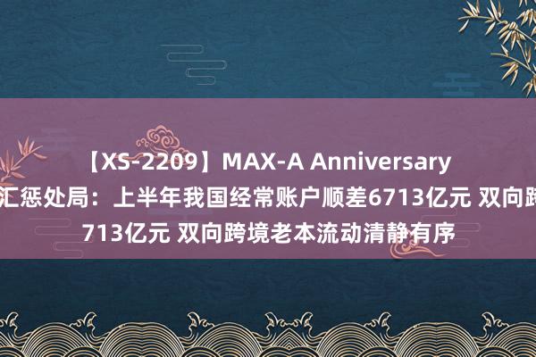 【XS-2209】MAX-A Anniversary 超永久保存版 国度外汇惩处局：上半年我国经常账户顺差6713亿元 双向跨境老本流动清静有序