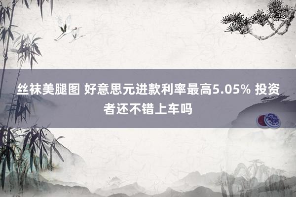 丝袜美腿图 好意思元进款利率最高5.05% 投资者还不错上车吗