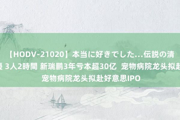 【HODV-21020】本当に好きでした…伝説の清純派AV女優 3人2時間 新瑞鹏3年亏本超30亿  宠物病院龙头拟赴好意思IPO