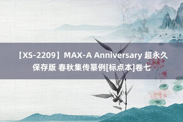 【XS-2209】MAX-A Anniversary 超永久保存版 春秋集传纂例[标点本]卷七