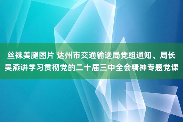 丝袜美腿图片 达州市交通输送局党组通知、局长吴燕讲学习贯彻党的二十届三中全会精神专题党课