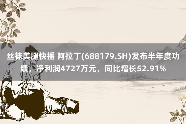 丝袜美腿快播 阿拉丁(688179.SH)发布半年度功绩，净利润4727万元，同比增长52.91%