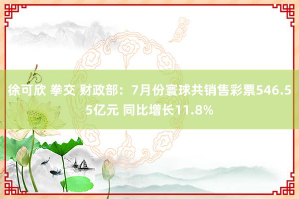 徐可欣 拳交 财政部：7月份寰球共销售彩票546.55亿元 同比增长11.8%