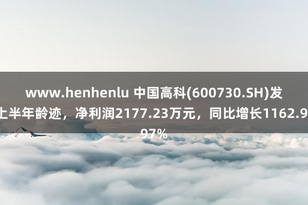 www.henhenlu 中国高科(600730.SH)发布上半年龄迹，净利润2177.23万元，同比增长1162.97%