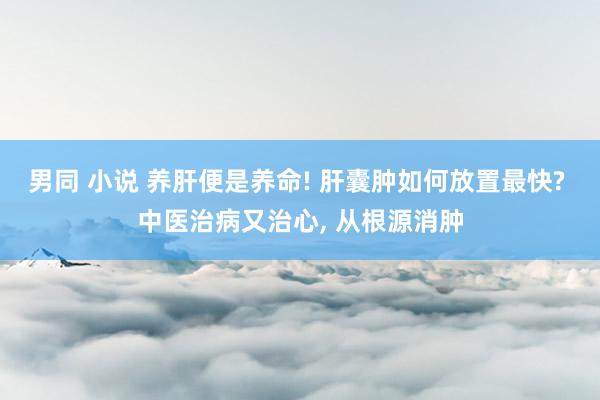 男同 小说 养肝便是养命! 肝囊肿如何放置最快? 中医治病又治心, 从根源消肿