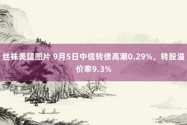 丝袜美腿图片 9月5日中信转债高潮0.29%，转股溢价率9.3%