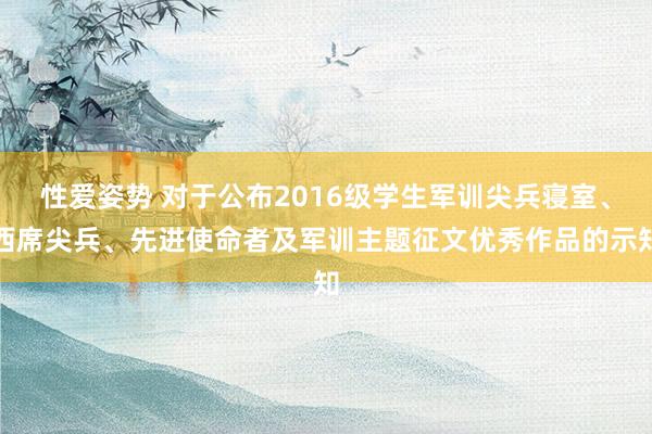 性爱姿势 对于公布2016级学生军训尖兵寝室、西席尖兵、先进使命者及军训主题征文优秀作品的示知